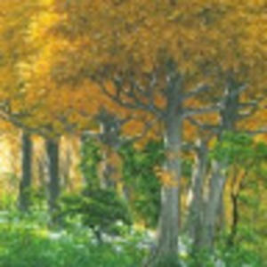 Meet your Posher, Pinar